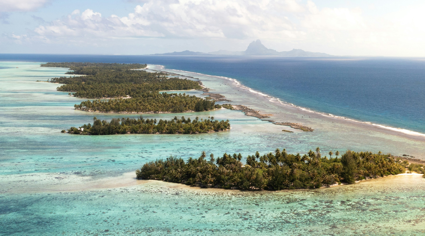 Conservation Success Stories of 2025